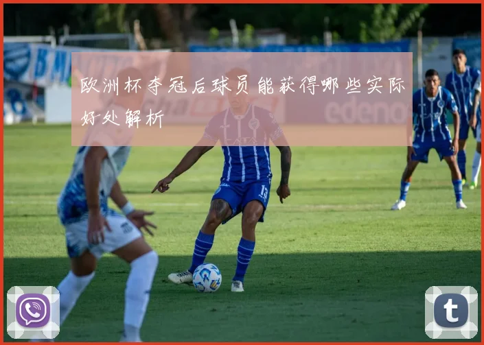 欧洲杯夺冠后球员能获得哪些实际好处解析