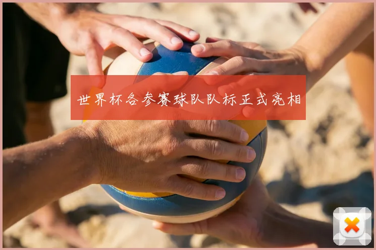 世界杯各参赛球队队标正式亮相