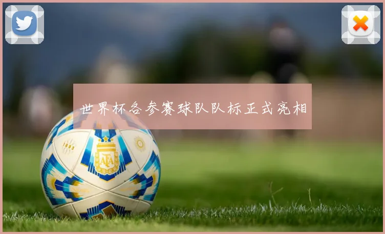世界杯各参赛球队队标正式亮相