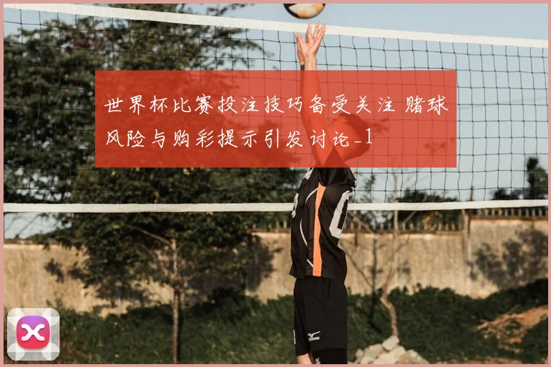 世界杯比赛投注技巧备受关注 赌球风险与购彩提示引发讨论_1