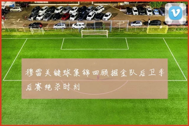 穆雷关键球集锦回顾掘金队后卫季后赛绝杀时刻