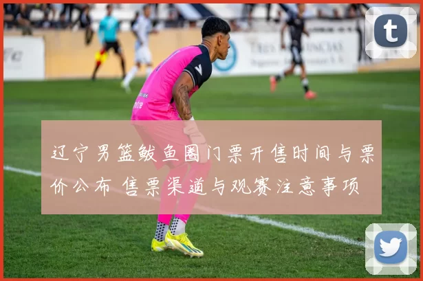 辽宁男篮鲅鱼圈门票开售时间与票价公布 售票渠道与观赛注意事项